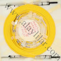 Fiber Kablo Raycus Max IPC Reci 6 Kw uyumludur