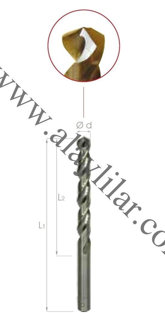 DIN 338 Altın Seri Silindirik Saplı Matkap Ucu