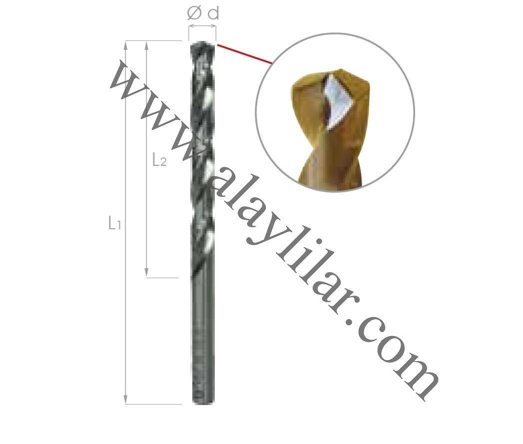 DIN 338 Paladium (Standart) Silindirik Saplı Matkap Ucu